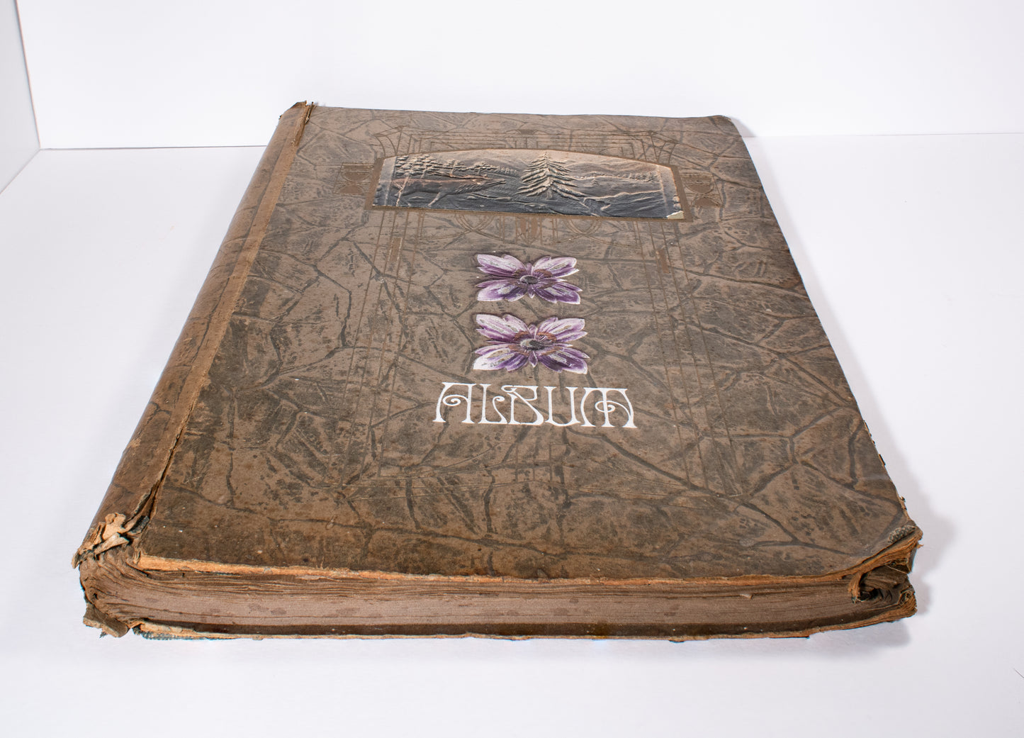 Antique Postcard Album