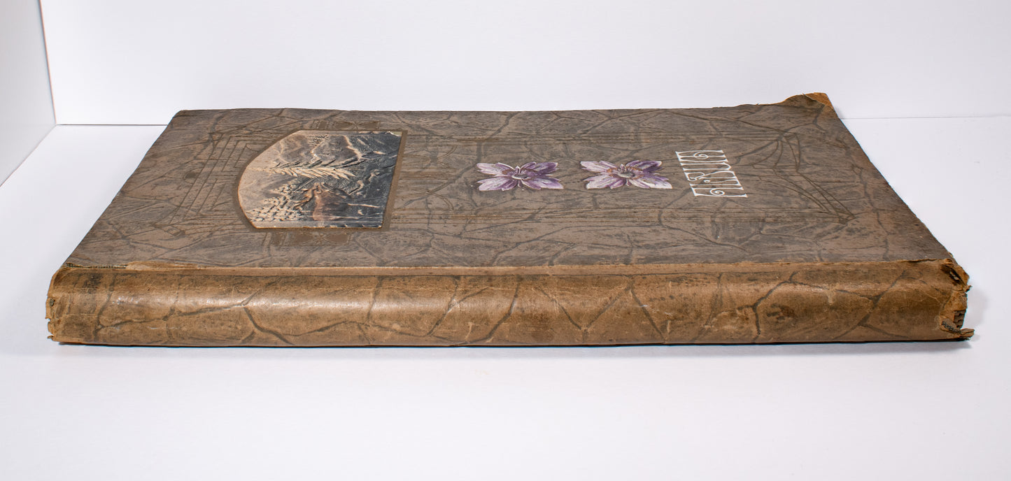 Antique Postcard Album