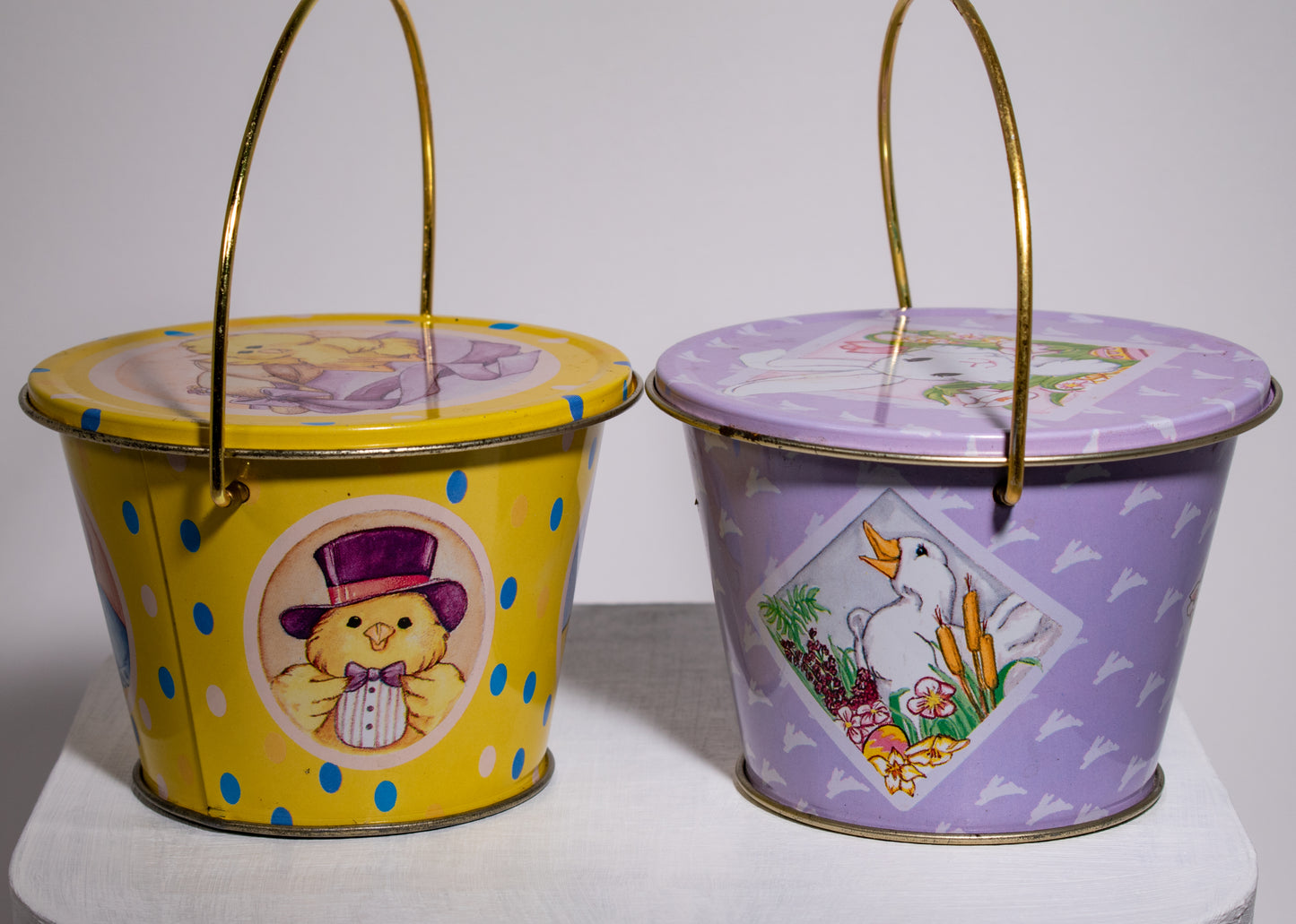 1988 Dakin Springtime Pails
