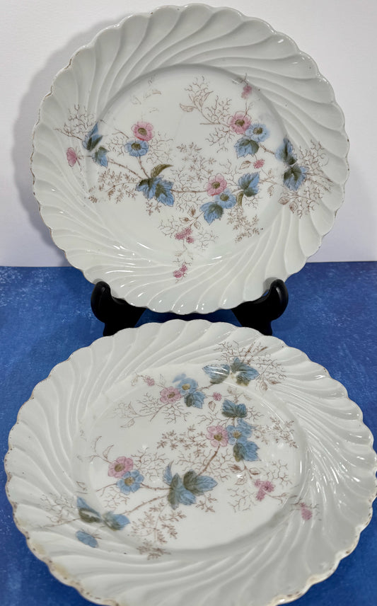 Set of 2 Carlsbad China Austria Pink & Blue Floral Plates