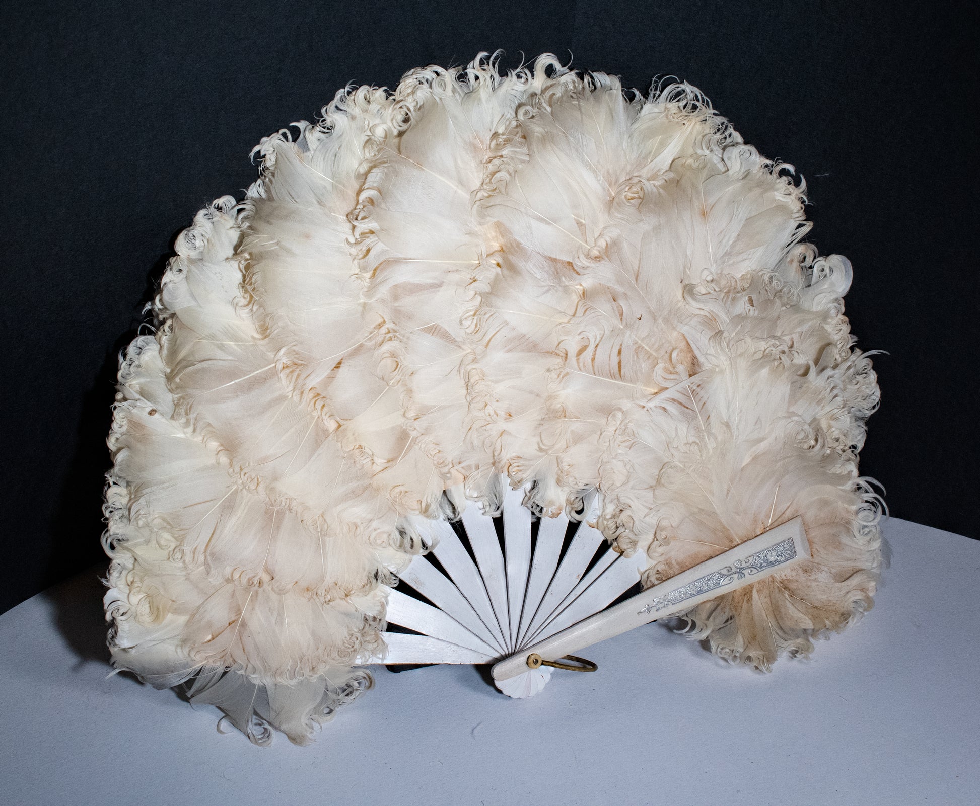 Antique Ostrich Feather Fan